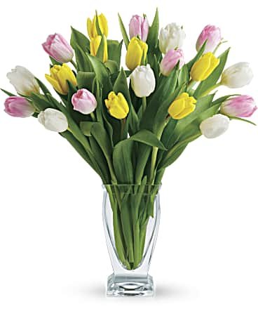 TeleflorasTulipTreasurePM Tulip Treasure