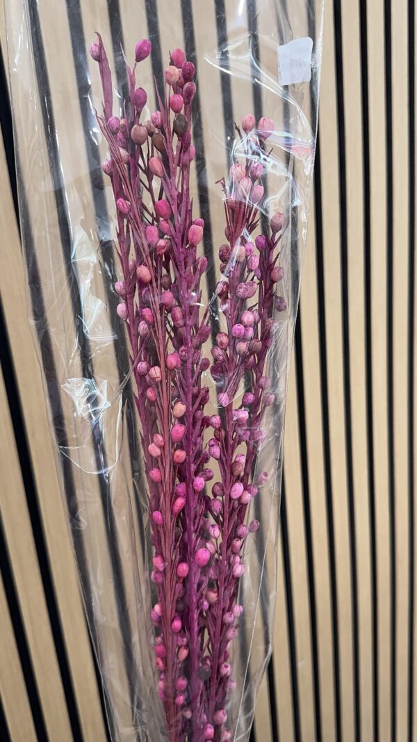 Moti Sticks - Pink