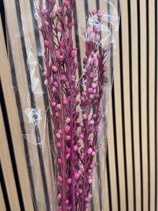 Moti Sticks - Pink
