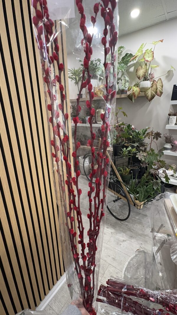 Pussy Willow - Red