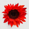 Sunflower Bundle